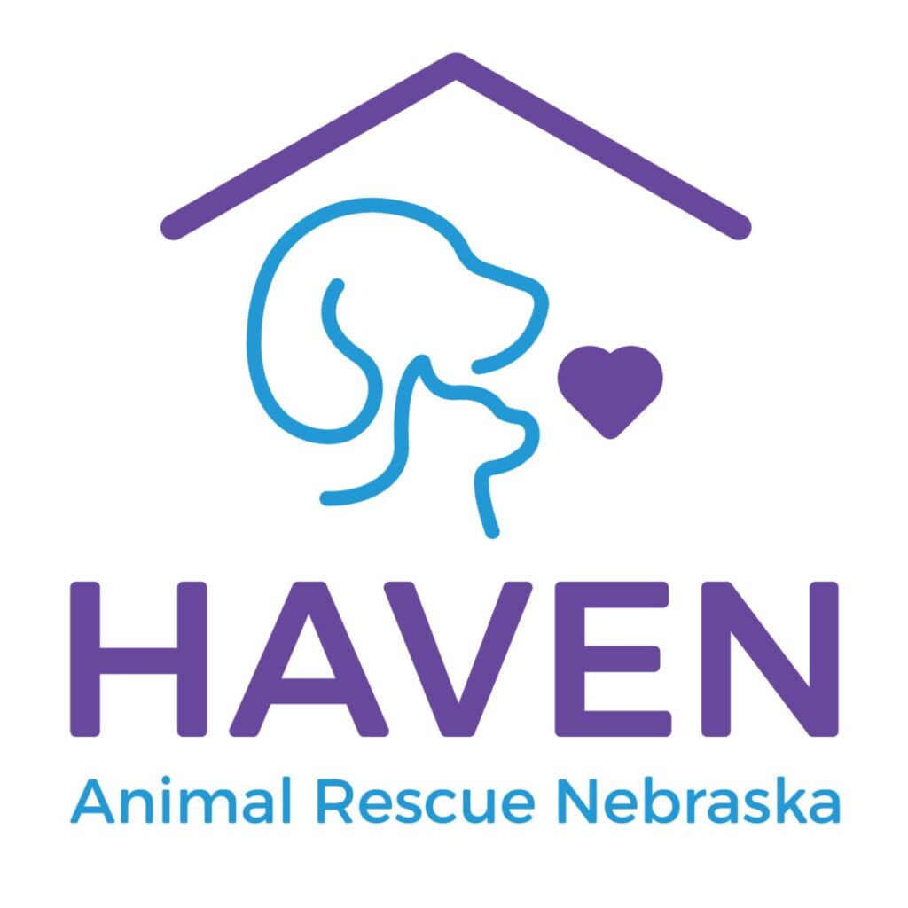 Haven Logo Full Color Stacked Transparent Background